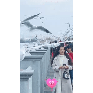 旅行风景5869