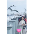 旅行风景5869