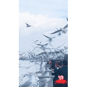 旅行风景5870