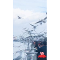 旅行风景5870