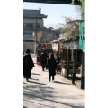 旅行风景5876