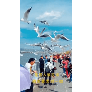 旅行风景5880