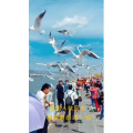 旅行风景5880