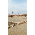 旅行风景5884