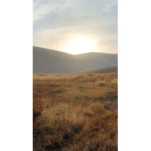 旅行风景5885