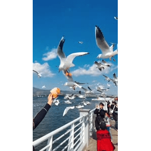 旅行风景5888