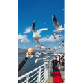旅行风景5888