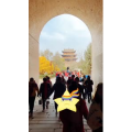 旅行风景5895