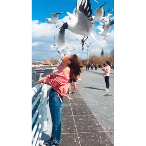 旅行风景5898