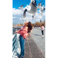 旅行风景5898