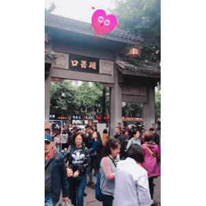 旅行风景5904