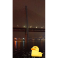 旅行风景5905