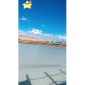 旅行风景5915