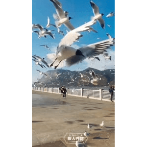 旅行风景5921
