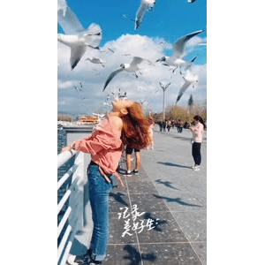 旅行风景5922