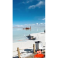 旅行风景5923