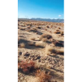 旅行风景5926