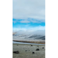 旅行风景5929