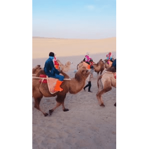 旅行风景5930
