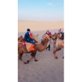 旅行风景5930