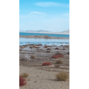 旅行风景5941
