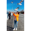 旅行风景5946