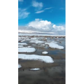 旅行风景5954