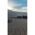 旅行风景5955