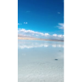 旅行风景5956