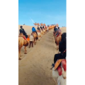 旅行风景5958