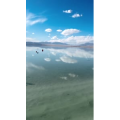 旅行风景5959