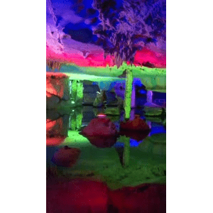 旅行风景5961
