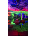 旅行风景5961