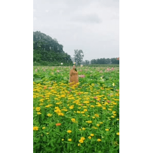 旅行风景5966