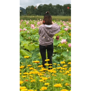 旅行风景5970