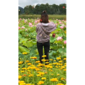 旅行风景5970