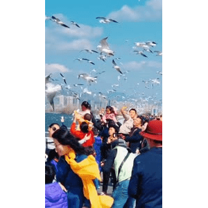 旅行风景5975