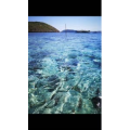 旅行风景5977