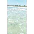 旅行风景5987