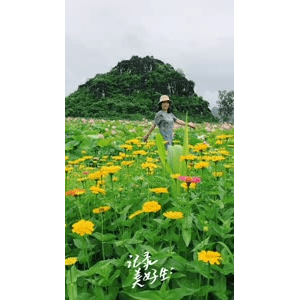 旅行风景5992
