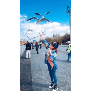 旅行风景5993
