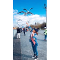 旅行风景5993