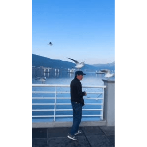 旅行风景5995