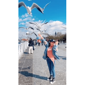 旅行风景5997