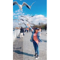 旅行风景5997
