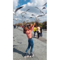 旅行风景6000
