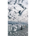 旅行风景6001