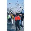 旅行风景6003