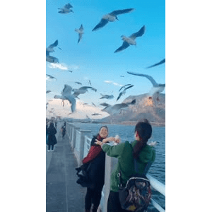 旅行风景6016