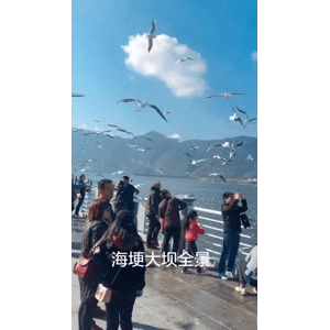 旅行风景6028